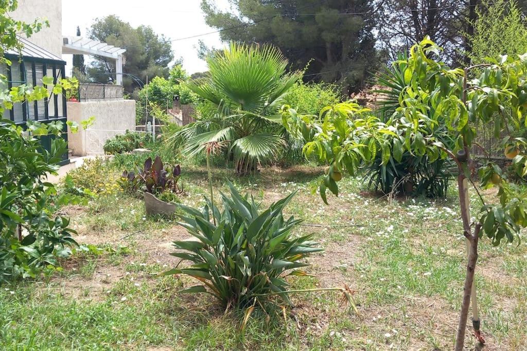 Villa Magali Grande Terrasse Vue Mer, Jardin, Proche Port La Ciotat Luaran gambar