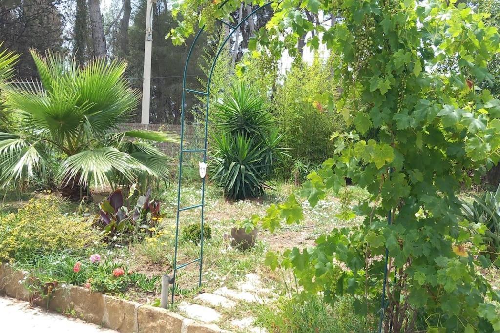 Villa Magali Grande Terrasse Vue Mer, Jardin, Proche Port La Ciotat Luaran gambar