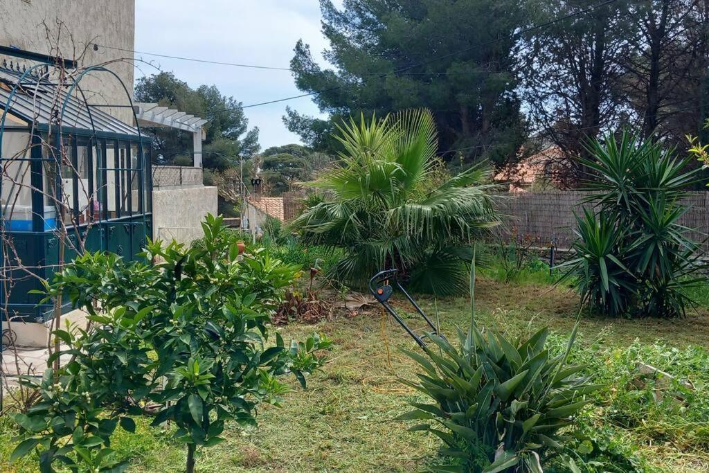 Villa Magali Grande Terrasse Vue Mer, Jardin, Proche Port La Ciotat Luaran gambar